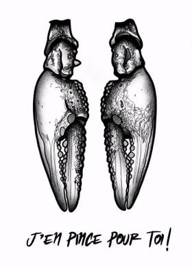 Claw Illustration