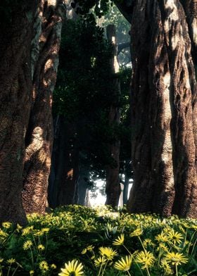 Sunlit Forest Path