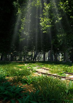 Sunbeams Through Forest Tracks