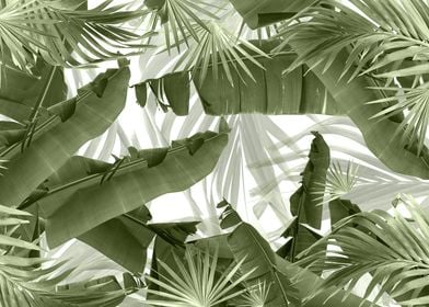 Green Palm Banana Leaves Bliss 1