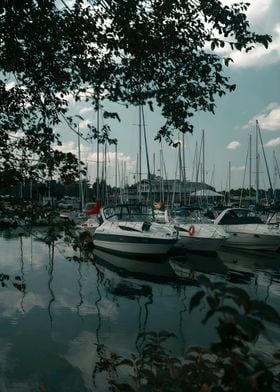 Boats Docked at Marina