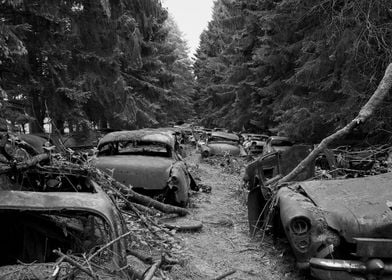 Forgotten Car Graveyard