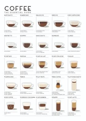 Coffee Guide: Types of Cof