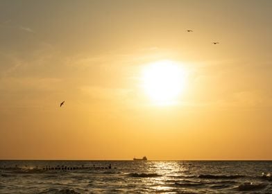 Golden Sunset Seascape