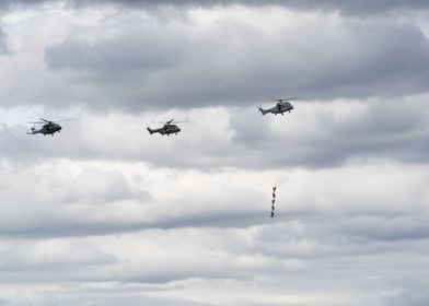 Helicopters in Flight