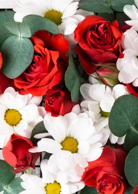 Red Roses and White Daisies