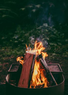 Campfire in the Woods