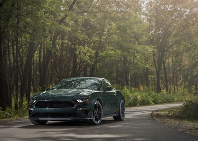 Ford Mustang in Forest