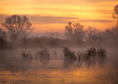 Misty Sunrise Landscape