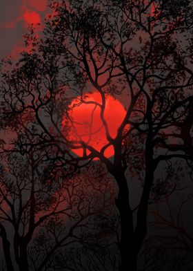 Silhouetted Trees and Red Sun