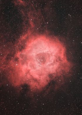 Space's Skull - Rosette Nebula