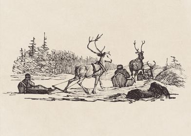 Reindeer Sledding Illustration