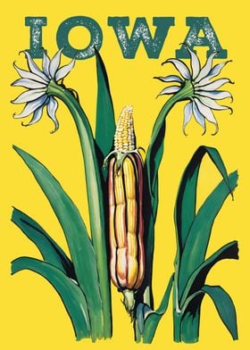 Iowa Corn Poster