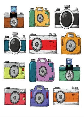 Vintage Camera Collection