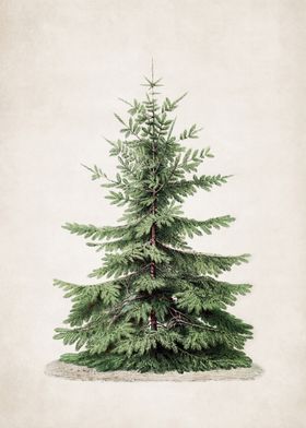 Vintage Christmas Pine Tree