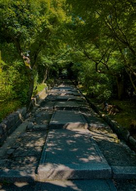 Stone Steps in a Forest