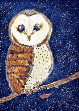 Barn Owl Night Sky