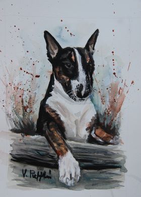 Bull Terrier Watercolor Painting