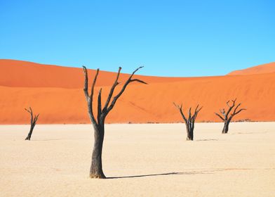 Sossusvlei Desert