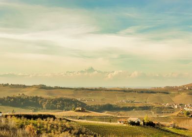 Monviso Mountain View Over Vineyards