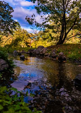 Serene Stream in Autumn