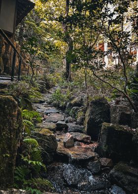 Stone Path Through Forest at Hiroshima