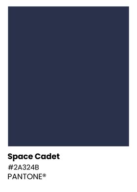 Pantone Space Cadet Color