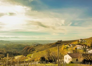 Langhe Vineyard Landscape