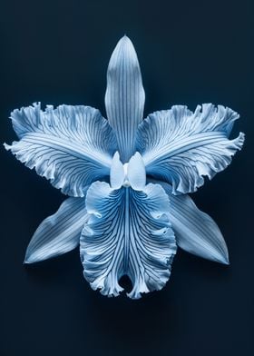 Blue Orchid Flower