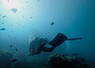 Scuba Diver in Blue Water