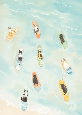 Surf Cats Tropical Beach