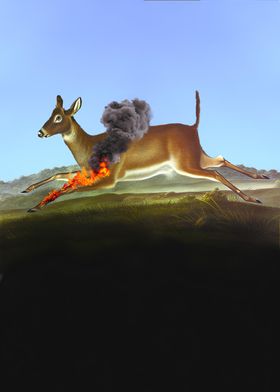 Burning Deer