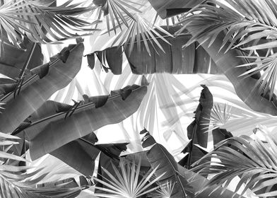 Monochrome Palm Banana Leaves Bliss 1