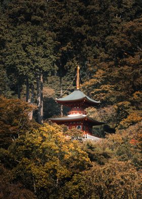 Japanese Pagoda in Forest