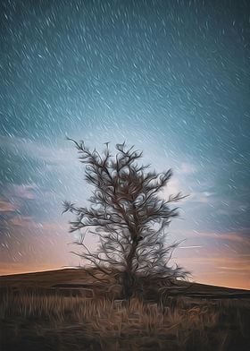 Lone Tree Under Starry Sky