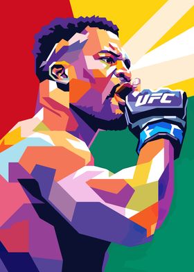 UFC Fighter Pop Art