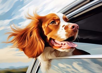 Brittany spaniel in Car Window