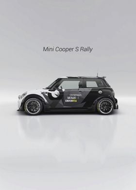 Mini Cooper S Rally