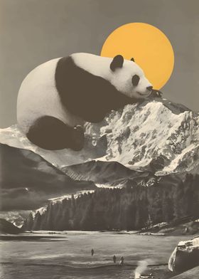 Giant Panda on Mountain