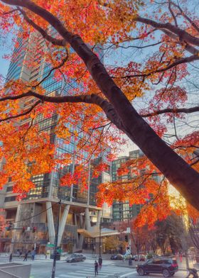 Autumn Cityscape