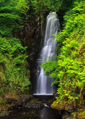 Waterfall in Lush Forest