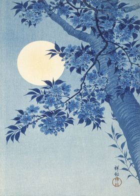 Cherry Blossom Moon