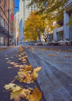 Autumn City Street