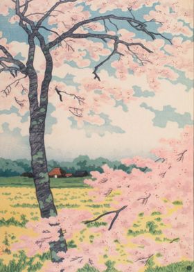 Cherry Blossom Landscape