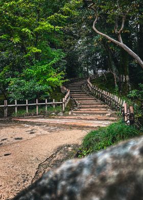 Stone Steps in a Japanese Garden