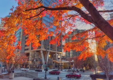 Autumn Cityscape with Red Leaves