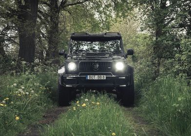 Black SUV in Forest