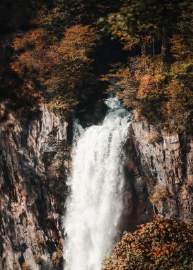 Waterfall in Autumn Forest