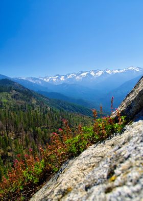 Moro Rock Mountain View with Snow-capped Peaks Sequoia National Park