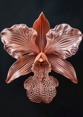 Copper Orchid Flower